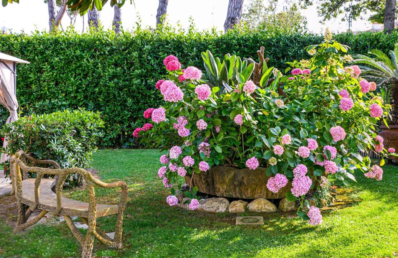 Hotel Ambra Forte dei Marmi Luaran gambar